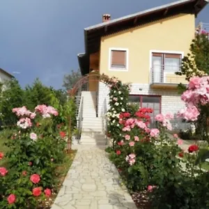 Nela , Pola Croazia